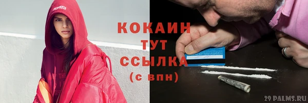 дживик Балахна