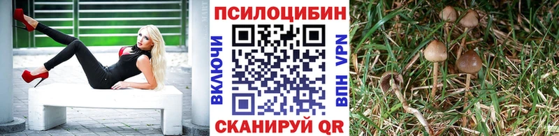 Галлюциногенные грибы Psilocybine cubensis  Балахна 